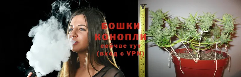 hydra как зайти  Бикин  Шишки марихуана сатива  купить наркоту 